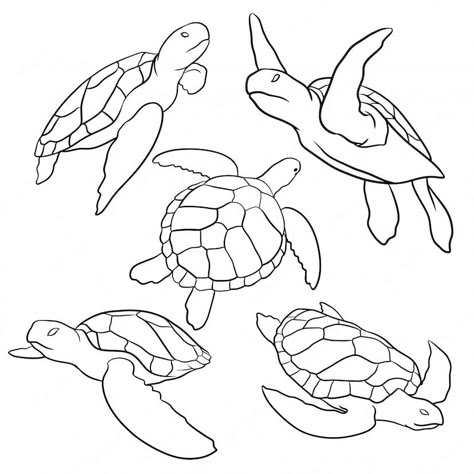 Cute Turtle Drawings, Turtle Sketch, Sea Turtle Drawing, Ocean Drawing, Turtle Quilt, Turtle Drawing, Sea Turtle Art, Turtle Tattoo, Turtle Painting