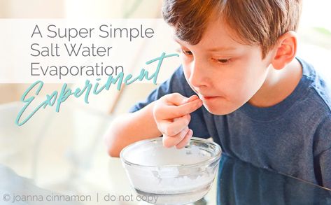 Salt Water Fresh Water Experiment, Evaporation Experiment For Kids, Evaporation Experiment, Water Activities Kids, Separating Mixtures, Ks2 Science, Water Evaporation, Water Experiments, Ocean Salt