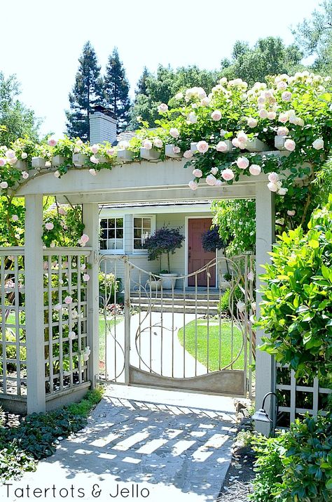 Pergola Trellis, Big Leaf Plants, Wooden Arbor, Gate Ideas, Building A Pergola, Pergola Design, Garden Arbor, Halloween Garden, Wooden Pergola