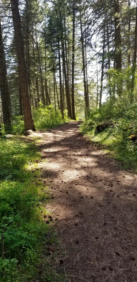 Trails In The Woods, Trail Life, Sleepover Activities, Forest Photos, Bike Path, Nature Trail, Summer Bucket Lists, Bike Trails, Future Travel