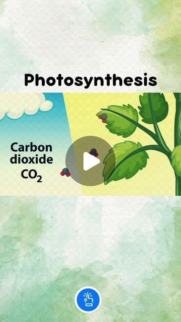 Photosynthesis Notes, Photosynthesis Projects, Neet Exam, Biology Notes, Board Exam, 3d Video, Carbon Dioxide, Photosynthesis, Heavy Metals