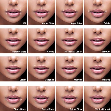 Face Peircings Name, Ashley Lip Piercing Aesthetic, Top And Bottom Lip Piercing, Bottom Lip Piercing Side, Mouth Percinings Chart, Two Lip Piercings, Stud Lip Piercing, Middle Of Lip Piercing, Peircings Name Chart Face