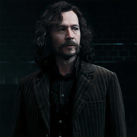 Sirius Black Gary Oldman, Harry Potter Sirius, Remus And Sirius, Harry Potter Merchandise, Harry James, Harry James Potter, Hogwarts Mystery, Gary Oldman, Harry Potter Movies