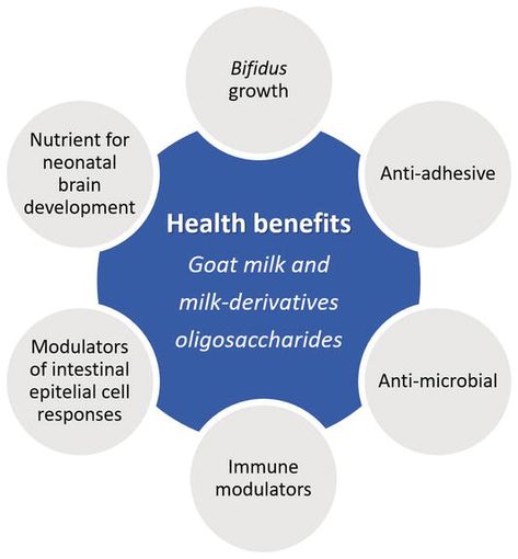 Nutritional and Health Profile of Goat Products: Focus on Health Benefits of Goat Milk | IntechOpen Goat Products, Goat Milk Benefits, Benefits Of Goat Milk, Focus On Health, Milk Benefits, Fermented Milk, Milk Allergy, Human Milk, Milk Products