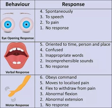 Glasgow Coma Scale - The Definitive Guide | Biology Dictionary Nursing School Studying Cheat Sheets, Glasgow Coma Scale, Emt Study, Neurological System, Nursing Assessment, Nclex Exam, Nursing School Studying, Nursing School Notes, Educational Infographic