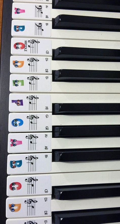 These labels are beautifully presented especially for children learning Piano, what a great and fun way to help children love the piano.This set of label stickers is for a 88 key piano or keyboard, Labels are in order ready to be placed on the keys with middle C highlighted for easy reference. Labels are easily removed if needed. Each Label is 20mm wide x 48mm long. The labels will help anyone wanting to learn piano, with the letter of the key and note placement on the bar to aid and h... Keyboard Lessons, Piano Chords Chart, Learning Piano, Online Piano Lessons, Piano Music Lessons, Online Music Lessons, Blues Piano, Easy Reference, Children Learning