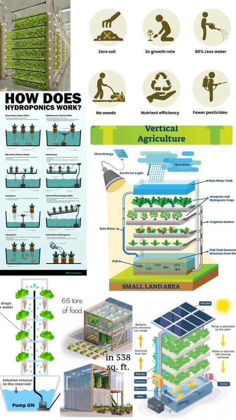 Vertical and more flexible agriculture Vertical Hydroponics, More Flexible, Vertical Farming, Food Garden, Hydroponics, Agriculture, Design