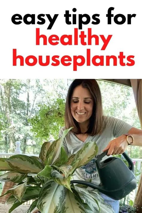 Easy tips for How to Keep Potted Plants Alive. Learn how to keep indoor plants healthy. #indoorplants #plantcaretips #plantkiller Plant Parenting, My Plant, Plant Information, Soil Layers, Succulent Care, Patio And Garden, Plant Roots, Grow Your Own Food, Growing Herbs