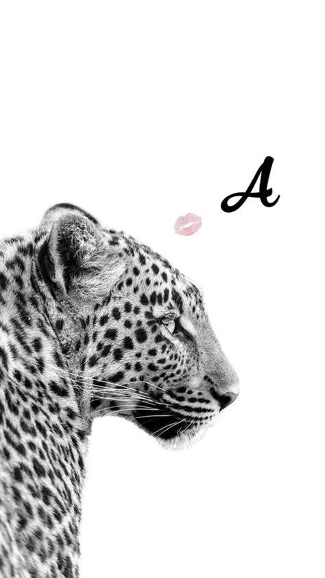 Adele Photos, Anuel Aa Wallpaper, Cheetah Print Wallpaper, Tiger Wallpaper, Cute Ducklings, Color Design Inspiration, Alone Photography, Pink Wallpaper Iphone, Print Wallpaper