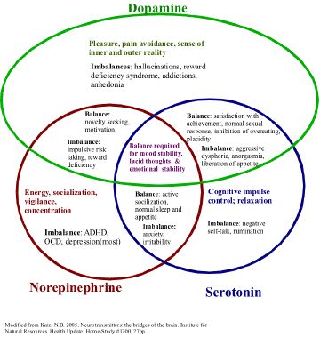 Balance and imbalance Dopamine Serotonin, Brain Exercises, Mental Fitness, Brain Chemistry, Brain Science, Attention Deficit, E Mc2, Glory Days, Human Brain