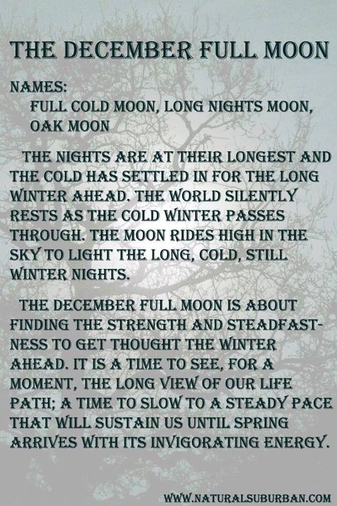 Last Full Moon of the Year!!! @lunasearles @firefae12 Waldorf Daycare, Moon Months, December Full Moon, Elemental Spirits, Moon Watching, Pagan Moon, Full Moon Names, Moon Oil, Moon Meaning