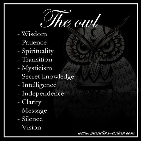 Owl Significance, Spiritual Owl Tattoo, Spiritual Meaning Of Owls, Owl Omen Meaning, Skull Symbolism Meaning, Witchy Owl Tattoo, Owl Witchcraft, Owl Meaning Spiritual, Owl Symbolism Meaning