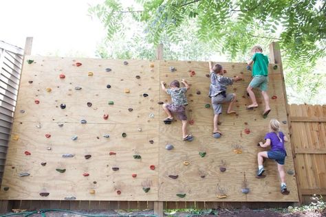 DIY Rock Climbing Wall for Under $100 | Garage Gym Reviews Kids Climbing Wall, Playground Backyard, Diy Climbing Wall, Rock Climbing Party, Climbing Wall Kids, Rock Climbing Workout, Home Climbing Wall, Rock Climbing Gym, Children Playground