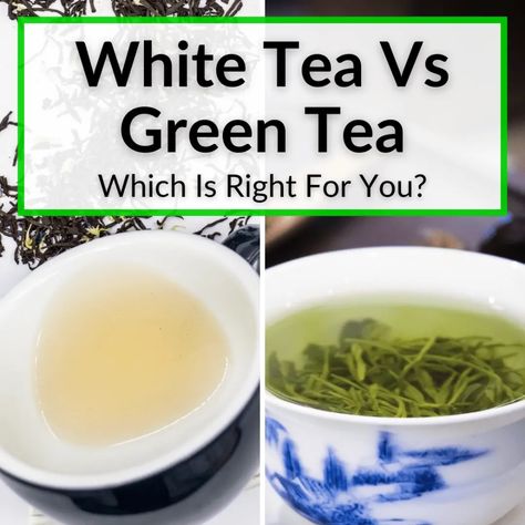 When it comes to white tea vs green tea, there is not much difference in terms of health benefits. The main differences are in flavor and price. White... White Tea Benefits, Silver Needle Tea, Different Types Of Tea, Tea Plant, Tea Health Benefits, Tea Tasting, Types Of Tea, Tea Packaging, Hot Tea