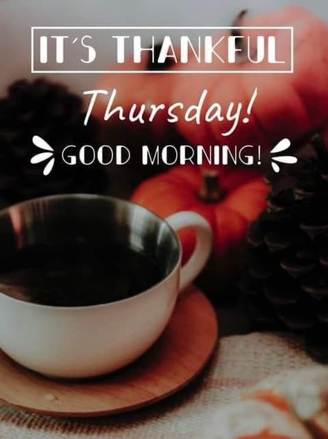 Good Morning Thankful Thursday, Thankful Thursday Quotes, Good Morning Happy Thursday, Thursday Quotes, Funny Good Morning Quotes, Thankful Thursday, Good Morning Happy, Good Morning Good Night, Happy Thursday