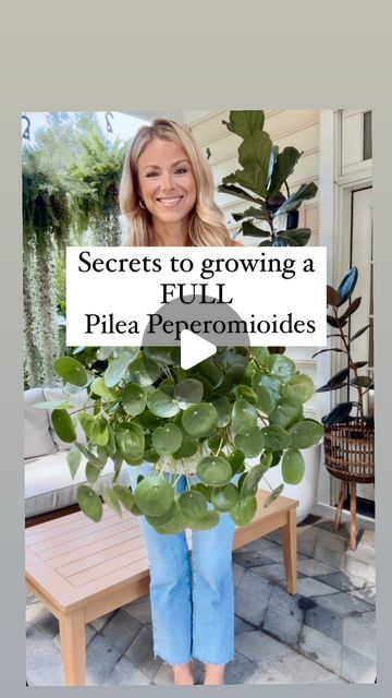 Dana Carpenter | Houseplant care on Instagram: "Don’t miss this one too!! I think it’s the secret to a pilea that is full and bushy!! ⬇️

Leave your pilea snug in its pot. I’ve found that mine has grown way more leaves and become bushier when slightly root bound! 

🪴Here are some other tips: 

+Bright indirect light—lower light can result in leggy growth and yellow leaves☀️
+Let it dry out in between waterings!💦
+Use a well draining soil—also make sure your planter has drainage holes.🪴
+Doming leaves-mean too little light or overwatering
+Cupping-too much light, under watering or nutrient deficiency

Help your pilea by using fertilizer! If you need a recommendation comment FERTILIZER and I’ll dm you a link and discount code to my favorite!🙌

Do lighting requirements for plants confuse Pilea Plant Care, Pilea Plant, Leaves Meaning, Pilea Peperomioides, Houseplant Care, Nutrient Deficiency, House Plant Care, Yellow Leaves, Plant Growth