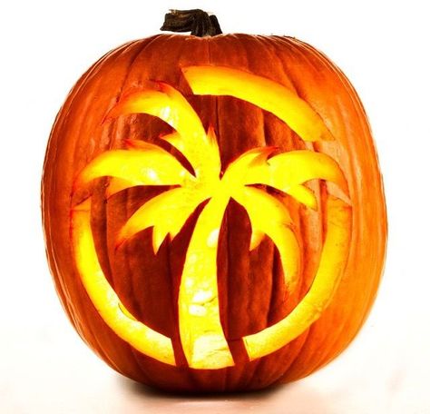 https://youtu.be/ZAzaJXV2_KM Tropical Pumpkin Carving Ideas, Hawaii Pumpkin Carving, Pumpkin Carving Ideas Turtle, Golf Pumpkin Carving Ideas, Palm Tree Pumpkin Carving, Beach Pumpkin Carving, Palm Tree Pumpkin, Tree Pumpkin Carving, Halloween Pumkin Ideas