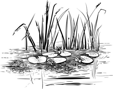 Vector illustration with reed and water lilies in the pond. vector illustration Lotus Pond Illustration, Pond Sketch, Pond Tattoo, Pond Drawing, Ceramics Tile, Lilly Pond, Wall Fabric, Scene Drawing, Large Stencils