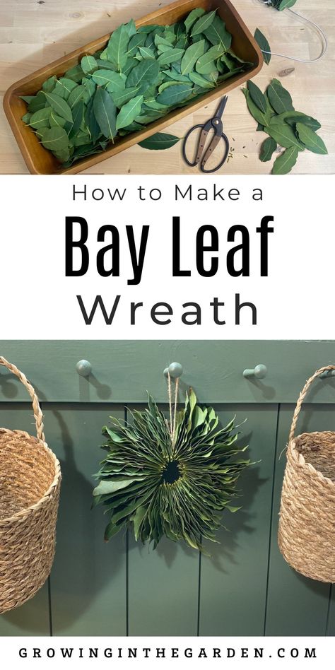 Bay Leaf Wreath Diy, Herb Wreaths, Bay Wreath, Bay Leaf Wreath, Home Made Wreaths, Boot Room Ideas, Herb Wreath, Wreath Party, Bay Laurel