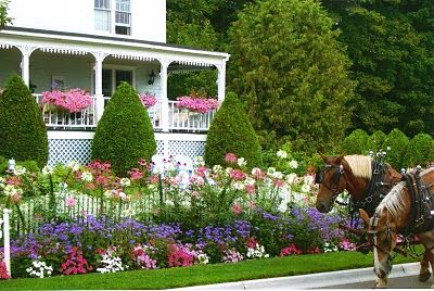 Litter Of Kittens, Grand Hotel Mackinac Island, Island Flowers, Mackinaw Island, Island Garden, Mackinac Island Michigan, Blue Monday, Estes Park Colorado, Lavender Garden