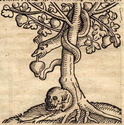 The tree of knowledge of good and evil | The Other I Good And Evil Tattoos, The Tree Of Knowledge, Tree Of Knowledge, 16 Tattoo, Medieval Tattoo, Medieval Drawings, Evil Tattoo, Medieval Artwork, Esoteric Art