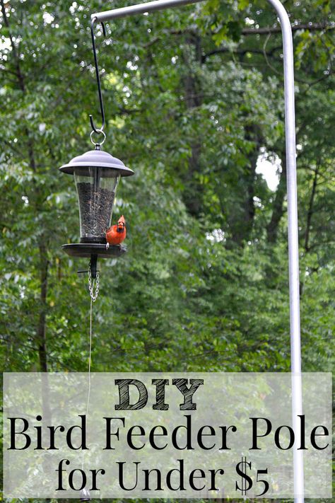 Diy Bird Feeder Pole, Bird Feeder Station, Bird Feeder Stands, Bird Feeder Poles, Squirrel Proof Bird Feeders, Diy Bird Feeder, Hanging Bird Feeders, Diy Birds, Work Diy