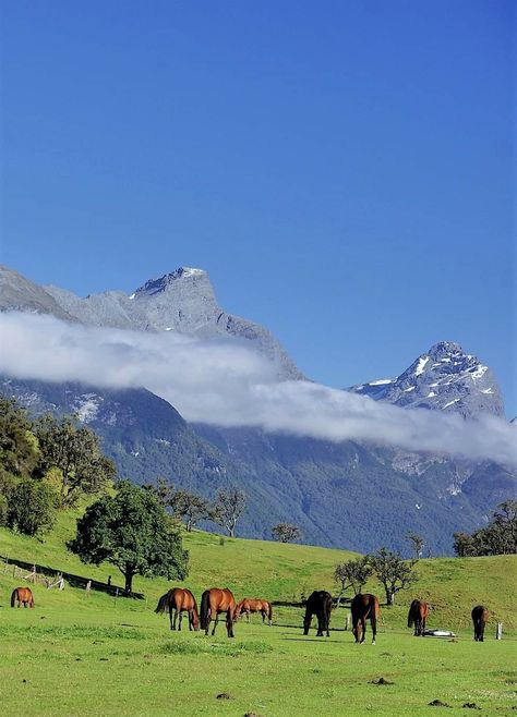 Glenorchy, New Zealand New Zealand Aesthetic Wallpaper, Glenorchy New Zealand, New Zealand Mountains, Queenstown New Zealand, Mountain Homes, New Zealand Travel, Queenstown, Dream Destinations, Adventure Travel