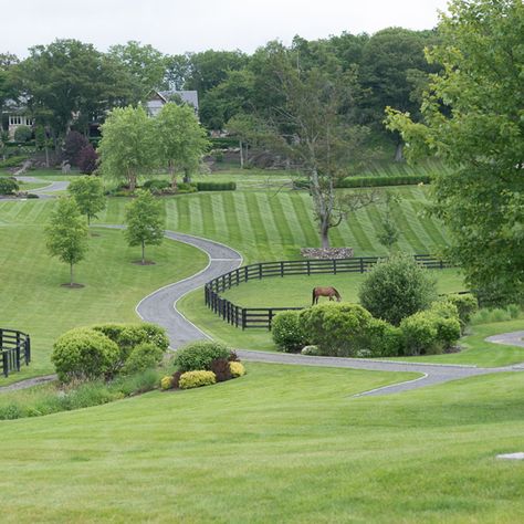 Dream farm, anyone? We would love to go for a leisurely summer hack around this property! Summer Hacks, Dream Horse Barns, Dream Farm, Farm Layout, Future Farms, Dream Yard, Two Horses, Green Field, Dream Barn