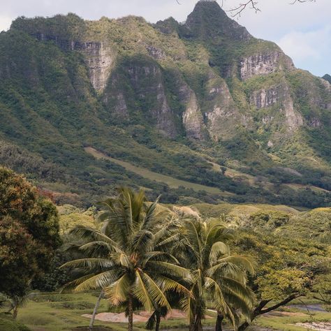 SPLORIN’ THE REAL JURASSIC PARK🦖⛰️{save for your next trip to Hawaii!} 📍Kualoa Ranch, Oahu, Hawaii ✨Here are the top tours you can take there: 🎬Movie Sites Tour: Visit iconic filming locations from Jurassic Park to Kong Skull Island. 🏎️ATV Raptor Tour: Ride through lush valleys and rugged terrain on an adventurous ATV expedition. 🦖Jurassic Jungle Expedition: Trek through dense forests and discover prehistoric landscapes. ⚓️Ocean Voyaging Experience: Embark on a catamaran voyage to explore ... Jungle Expedition, Kong Skull Island, Kualoa Ranch, Trip To Hawaii, Movie Sites, Skull Island, Oahu Hawaii, Filming Locations, Hawaii Travel