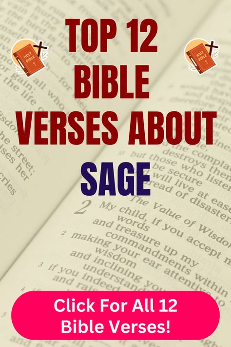 Check out our top 12 Bible verses about sage and learn more what does the Bible say about sage. Click For All 12 Bible verses! Bible Chapters, Bible Verses About Relationships, Top Bible Verses, Ecclesiastes 12, Proverbs 9, Power Of The Tongue, New Testament Books, Book Of James, Proverbs 13