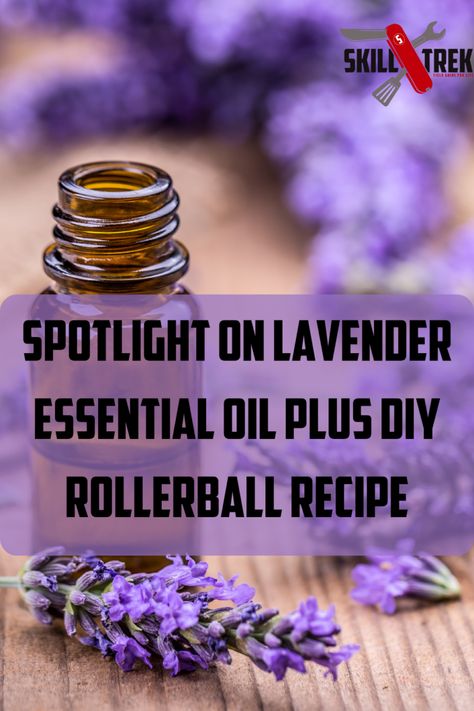 Spotlight on Lavender Essential Oil W/DIY Rollerball Recipe Lavender Rollerball Recipe, Essential Oil Rollerball Recipes, Lavender Oil Diy, Lavender Meaning, Roman Chamomile Essential Oil, Lavender Crafts, Doterra Lavender, Lavender Recipes, Essential Oil Roller Balls