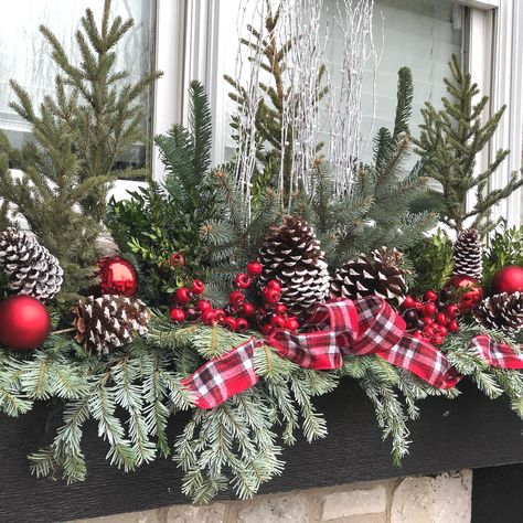 Christmas Planter Boxes, Christmas Boxes Decoration, Winter Window Boxes, Christmas Window Boxes, Christmas Planter, Outdoor Christmas Planters, Winter Planter, Box Flowers, Window Box Flowers