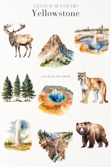 16 captivating clip art images of various Yellowstone related elements. Digital download. Visit Yellowstone, Yellowstone Park, Clip Art Png, Art Png, Yellow Stone, Nature Themed, Nature Illustration, Yellowstone National, Yellowstone National Park