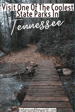 Rocky Fork State Park in Tennessee is a hidden gem. Its the perfect day trip from Asheville just over the border in Tennessee. Hike along the creek year-round. Tennessee vacation | Tennessee hiking | tennessee hiking trails | tennessee hidden gems | tennessee state parks Hiking Trips In The Us, Day Trips In Tennessee, Hiking Tennessee, Gaitlandburg Tennessee, Paris Landing State Park Tennessee, Tennessee Hikes, Best Hikes In Tennessee, Tennessee Hiking Trails, Hiking In East Tennessee