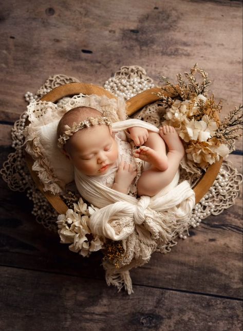 Dried and preserved rustic style baby headbands. Anne Geddes Babies Photography, Boho Rainbow Newborn Photography, Newborn Photoshoot Ideas Girly, Boho Newborn Photos, Newborn Photoshoot Girly, Newborn Photography Flowers, Newborn Baby Girl Photoshoots, Boho Newborn Photoshoot, Newborn Photography Girly Ideas