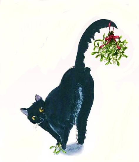 Christmas Black Cat Wallpaper, Black Cat Christmas Art, Black Cat Fireworks, Christmas Cat Art, Cats At Christmas, Christmas Black Cat, Black Cat Christmas, Winter Cat, Black Cat Art