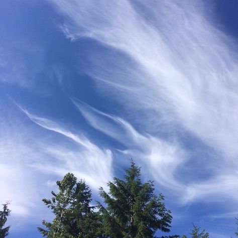 Cirrus Cloud, Green Landscapes, Inktober 2024, Flint Hills, Cloud Wall, Ghost Story, Clouds Photography, Screen Layout, Natural Line