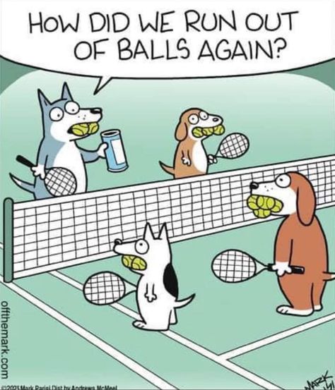 Mark Parisi, Far Side Cartoons, Tennis Funny, Dog Comics, Funny Today, Dark Comics, Funny Cartoon Pictures, Dog Jokes, Funny Animal Jokes