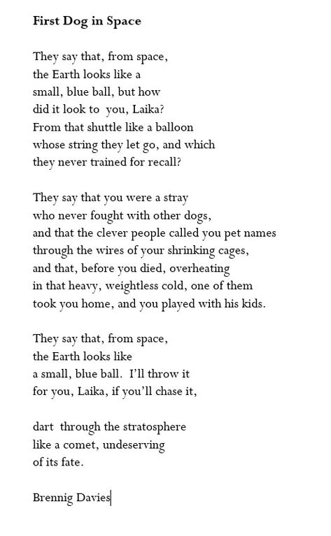 Dog In Space, Laika Dog, It Could Be Worse, Dog Poems, Could Be Worse, First Dog, Poetic Quote, Better Things, Blue Ball