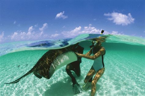 Turks and Caicos | Scuba Diving Grand Caymans, Grand Turks, Carnival Caribbean, Turks And Caicos Vacation, Sting Rays, Cruise Ideas, Grand Turk, Adventurous Things To Do, Caribbean Vacation