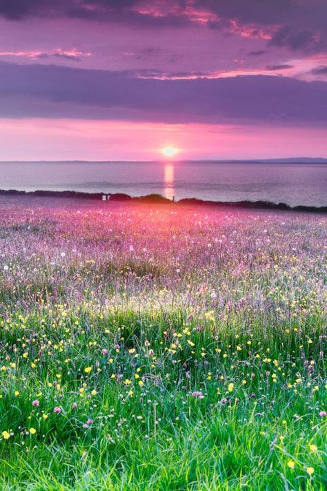 Spring is the best time to see Ireland's wildflowers, especially if you visit Burren National Park on Ireland's west coast. If you're planning a visit to Ireland, make it in the month of May for a spectacular display of colour and sunshine. The east side of the Burren is off the beaten track. Its magic awaits! | Blog by all the ways you wander | we travel to inspire | #ireland #irelandtravel #travelphotography #hiking #clare #wildflowers #spring #offseason #nature Beautiful Ireland Landscapes, Irish Landscape Aesthetic, Spring Photos Nature, Spring In Ireland, Ireland Landscape Nature, Ireland In Spring, Nature Ireland, Ireland Scenery, Ireland Spring