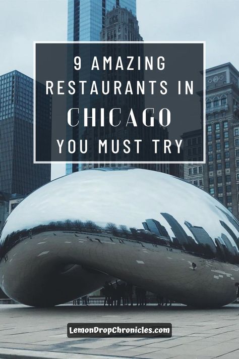 9 Amazing Restaurants In Chicago You Must Try Chicago Rooftop Restaurants, Rooftop Chicago, Chicago Lyrics, Millenium Park Chicago, River North Chicago, Grant Park Chicago, Chicago Restaurants Best, Millennium Park Chicago, River Restaurant