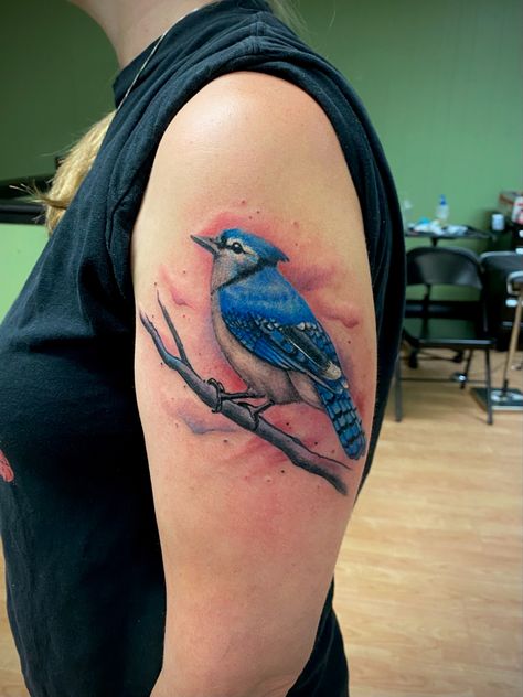 Bluejay Tattoo, Blue Bird Tattoo, Blue Jay Tattoo, Bird Tattoo Men, Bluebird Tattoo, Watercolor Bird Tattoo, Cardinal Tattoos, Floral Tattoo Shoulder, Tattoo Shading