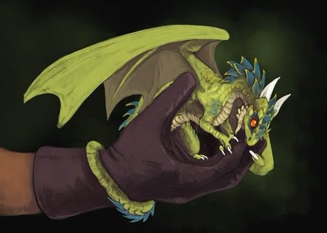 Tiny Dragon, Dragon Tales, Here There Be Dragons, Dnd Dragons, Dragon Stuff, Cool Dragons, Fairy Dragon, Fantasy Beasts, Dragon Pictures