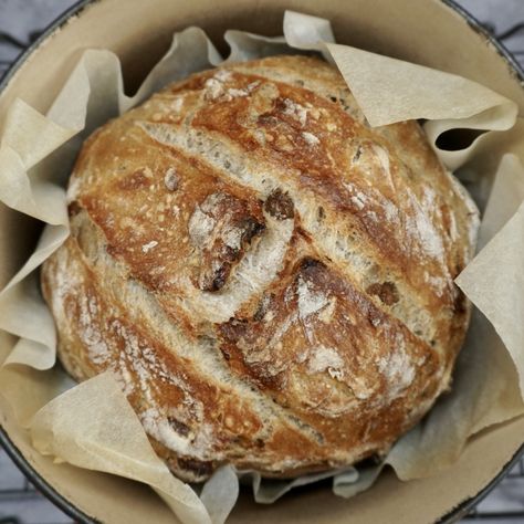 Dutch Oven Flavored Bread, Dutch Oven Fruit Bread, Bread Baked In Cast Iron Dutch Oven, Dutch Oven Pumpernickel Bread, Ceramic Dutch Oven Bread, Bread Dutch Oven, Easy No Knead Bread, Fruit Loaf, Autumn Recipes Vegetarian