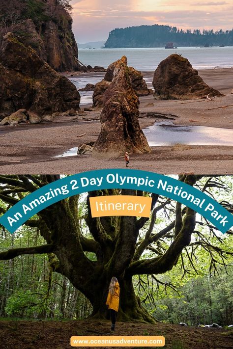 Olympic National Park is one of the most beautiful USA national parks but is it worth it to visit for only 2 days? Check out this blog post for the answer!

Things to do in Olympic National Park | weekend in Olympic National Park | Olympic National Park 2 day itinerary 2 Day Olympic National Park Itinerary, Olympic National Park Map, Olympia National Park, Olympic National Park Itinerary, Pnw Trip, Washington Travel, San Juan Island, Port Angeles, Is It Worth It