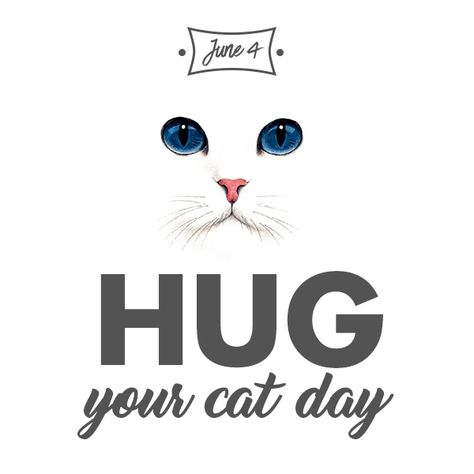 Awww. Kittie love. How Much For A Hug Cat, National Hug Your Cat Day, Happy International Cat Day, World Cat Day, Hug Your Cat Day, Calendar Art, Cartoon Cats, International Cat Day, Cat Info