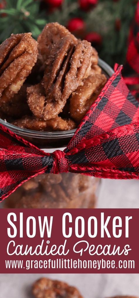 Try making these Slow Cooker Candied Pecans for an easy and delicious dessert that makes a great snack or holiday treat. Find full recipe details at gracefullittlehoneybee.com Crock Pot Pecans Candied, Crockpot Pecans Candied, Slow Cooker Candied Pecans, Crockpot Candied Pecans, Candied Pecans Crockpot, Crockpot Candy Pecans, Crk Oc, Crockpot Candy Recipes, Slow Cooker Candy