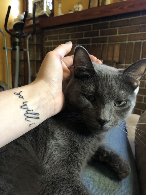 Russian blue cat and so will I tattoo So Will I Tattoo, So Will I, Russian Blue Cat, Blue Cat, Russian Blue, Blue Cats, Fish Tattoos, I Tattoo, Jesus Fish Tattoo