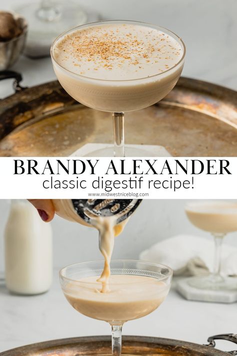 Decadent and creamy with notes of warming brandy and sweet cacao the Brandy Alexander is a great after dinner drink recipe enjoyed all over Wisconsin that requires only three ingredients! Coffee Brandy Drinks, Brandi Alexander Recipe, Brandy Ice Recipe, Hot Brandy Drinks, Brandy Alexander With Ice Cream, Brandy Alexander Recipe, Brandy Drinks, Brandy Alexander Cocktail, Brandy Drink